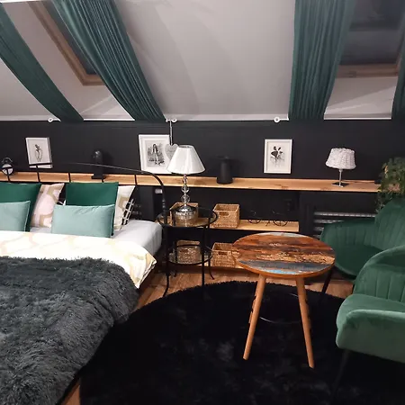 Dom Z Sauna I Jacuzzi- Na Wylacznosc Lub Bed & Breakfast 5*