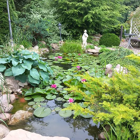 B&B Dom Z Sauna I Jacuzzi- Na Wylacznosc Lub 세로크